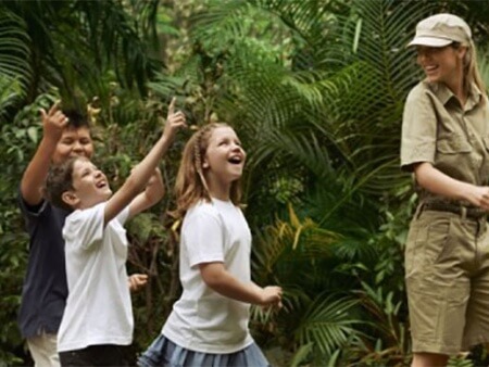 Hayman Island Wildlife Walk